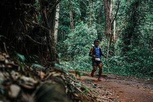 BIB: 
                            <button type="button" onclick="openModal(25395299)" class="btn btn-primary btn-sm float-right btn-popup" data-toggle="modal" data-target=".modal-high-quality">
                        <i class="fas fa-shopping-cart"></i> Add to Cart
                    </button>
                                            <button type="button" onclick="isThisMe(25395299, true)" class="btn btn-success btn-sm float-right btn-popup btn-isme hidden" data-toggle="tooltip" data-placement="bottom" title="นี่คือรูปของคุณใช่ไหม คลิกที่นี่เพื่อเอาเข้าอัลบั้ม">
                        <i class="fas fa-plus"></i> Add to album
                    </button>
                    <button type="button" onclick="isThisMe(25395299, false)" class="btn btn-warning btn-sm float-right btn-popup btn-isnotme hidden">
                        <i class="fas fa-ban"></i> Remove from album
                    </button>